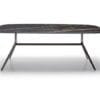 Iris Coffee Table By Logo 1